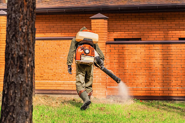 Bed Bug Clearance Verification and Documentation in North Kensington